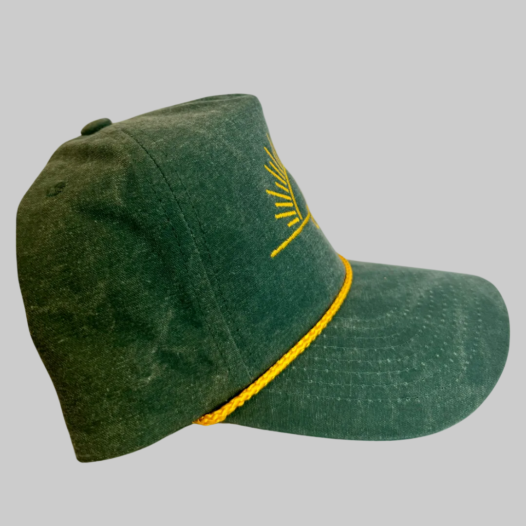 Swayde & Shield Co. Logo Cap